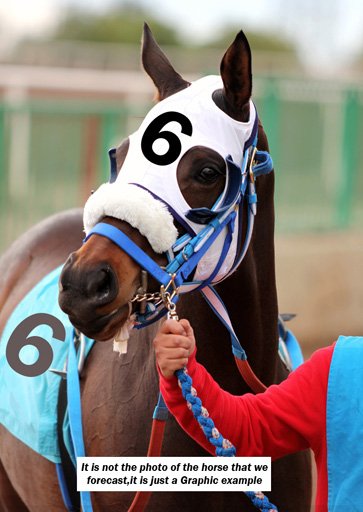 BetAccurate's tweet photo. Remember that if you want FREE information today to check our effectiveness, and seriousness we will gladly send it to you by (DM) direct message. Our subscription is ONLY $ 50 a month. Today we have four horses that will earn you a LOT of money. Specialists in Gulfstream Park https://t.co/jOlOpIGuZC