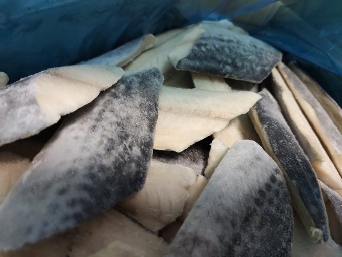 鰆のtwitterイラスト検索結果 鰆のtwitterイラスト検索結果