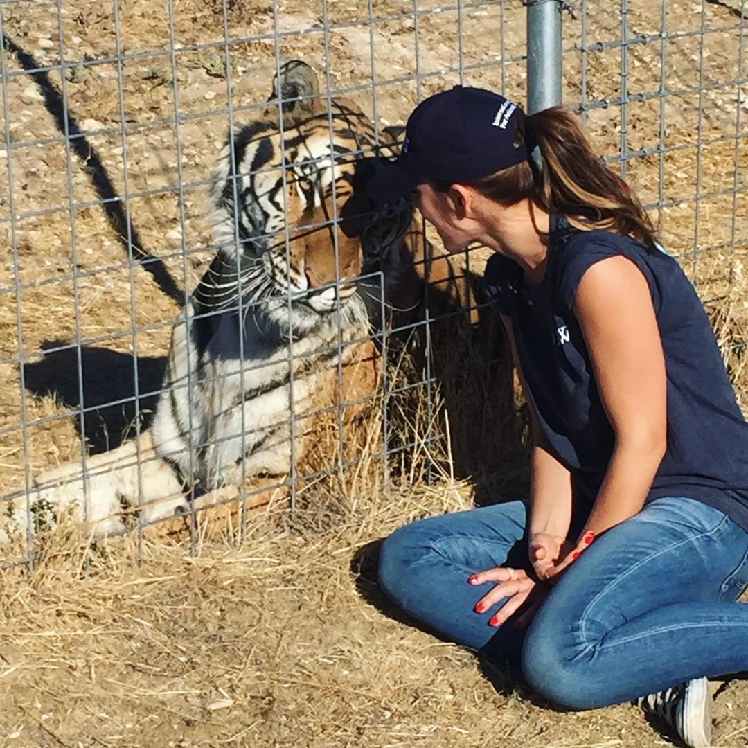 Call me the Tiger Queen.