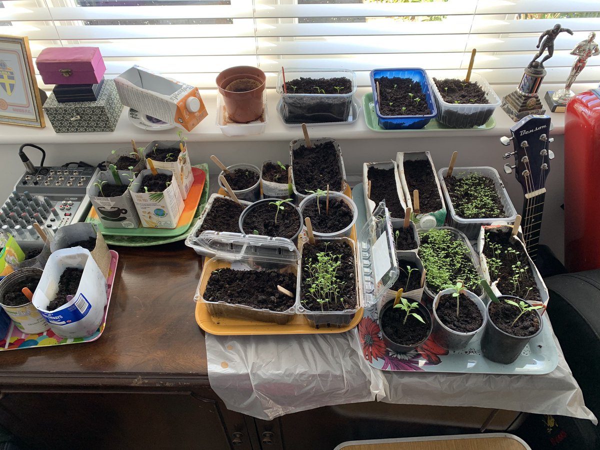 Damian Wild tweet media