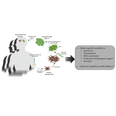 DPMP_UNC's tweet photo. Fantastic work out of @HingtgenLab published in @MolTherapy "Generation and profiling of tumor-homing induced neural stem cells from the skin of cancer patients" w/ @UNCneurology @DrSimonKhagi @matt_ewend @UNCPharmacy 

https://t.co/fVPkAqjf3y https://t.co/43Xd9GUnFg