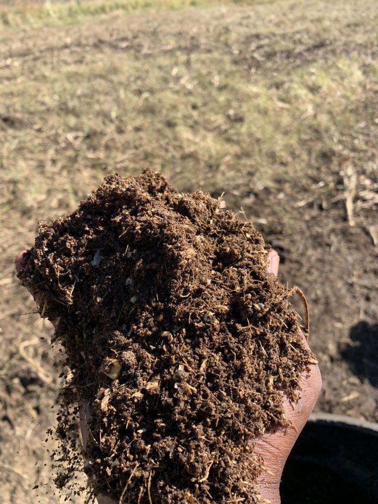 JamaKaSlwaneh's tweet photo. Production Lick/ Backgrounding Lick that I currently have all weaners and culls on. Iβm warming these cattle for 70 days before they enter the feedlot, preferably at weights above 280KG
#StockMan #CattleBoy #Beef #BeefingUp #WinterLick #Farming #YoungAndHappy https://t.co/Uspp8ydAbn