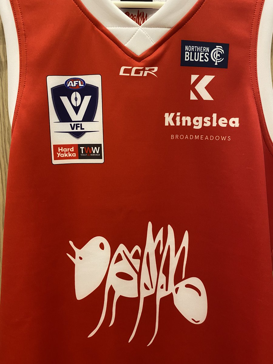 One of the great football jumpers.     🐜❤️🐜 #Bullants <a href="/VFL/">VFL / VFLW</a>