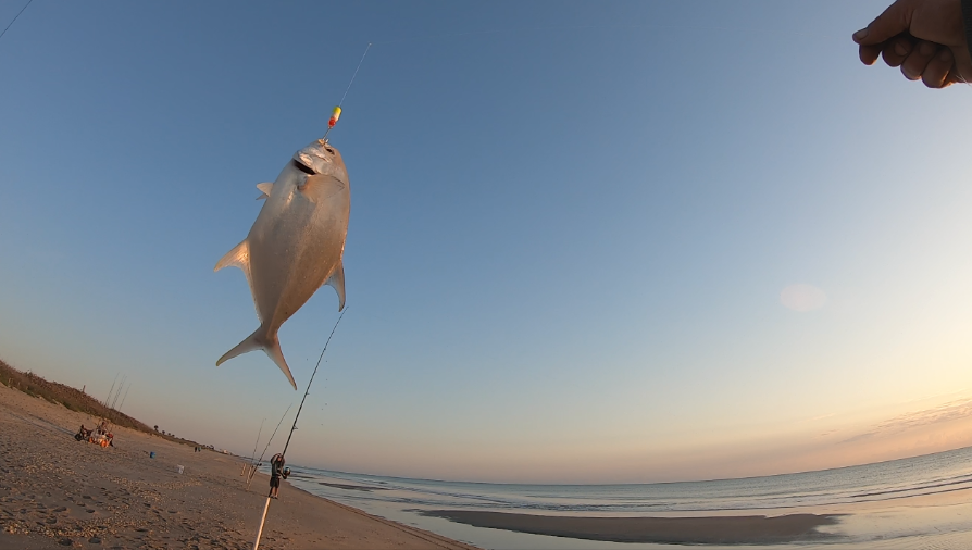 east_surf's tweet photo. ๐ฃ Florida Fishing Reports ๐ Week of 4-27-2020 #Florida #Eastcoast #Surffishing #Fishingreport #Fishreports #Anglers #Fishing https://t.co/cib7gSl8um https://t.co/uWbEDdVinG