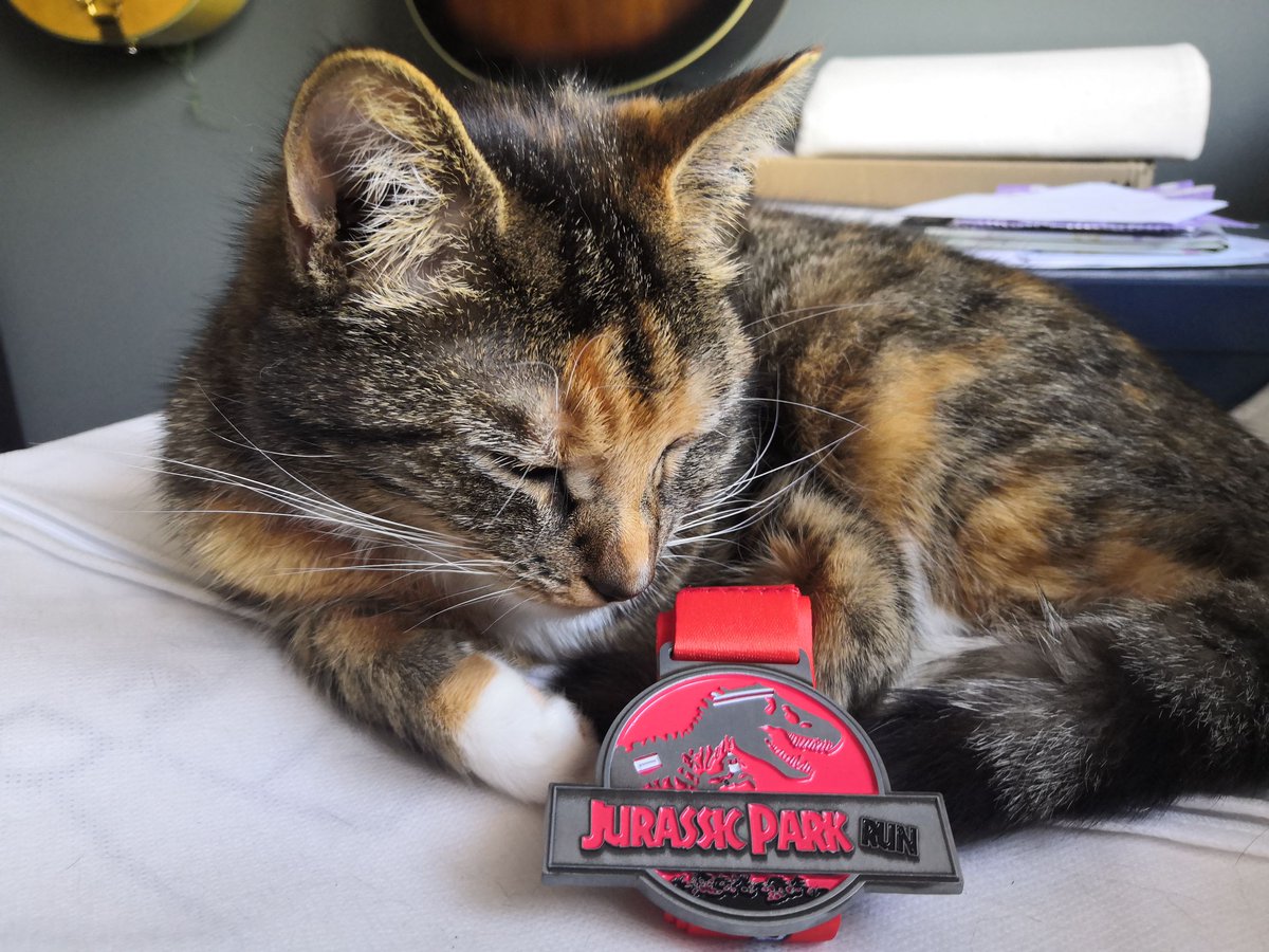 rundraise's tweet photo. Shelby the Rundraise cat looking knackered after earning her Jurassic Park run medal! 

Get yours today by entering our virtual run, where £10 from every £15 medal goes towards supporting NHS healthcare workers during COVID-19!

https://t.co/4YYVbbkyU3 https://t.co/8LQu5HtFNK