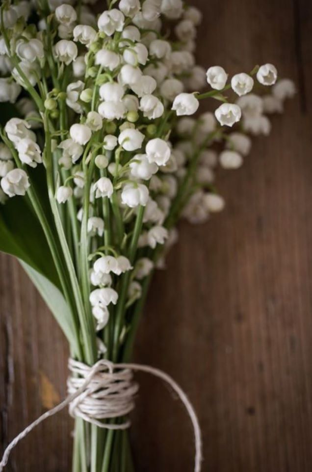 cui_13's tweet photo. [Comme une envie #portebonheur]
Ces quelques petites clochettes de muguet pour vous souhaiter plein de bonheur en ce 1er mai.
#1ermai #hellomai https://t.co/u7PW5sV8VC