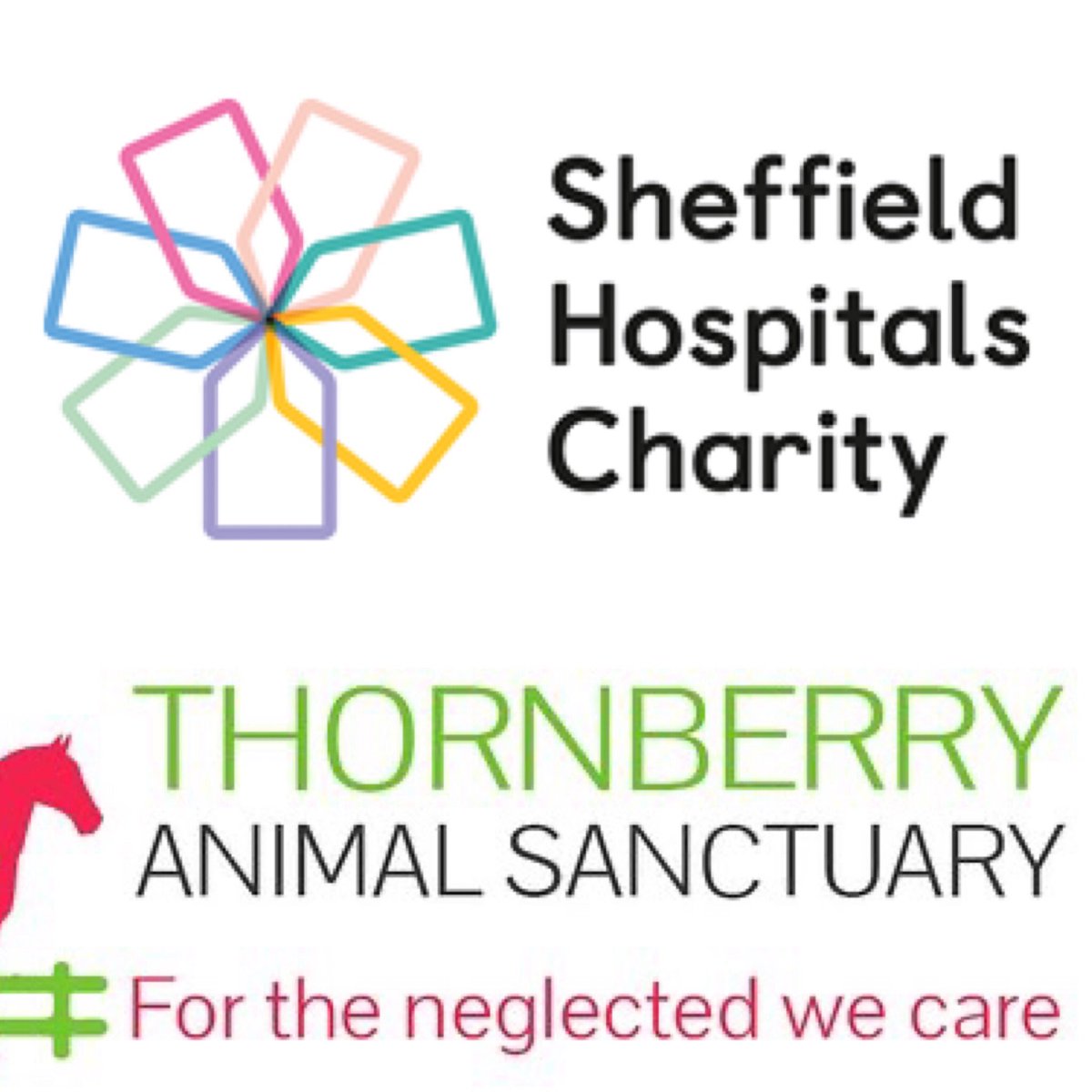 SHU Equestrian tweet media