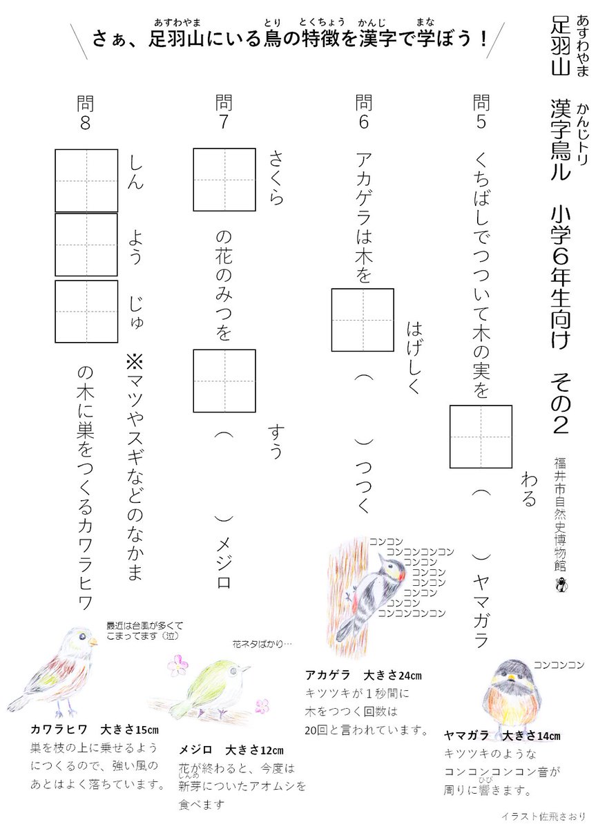 野鳥漢字ドリル小学5 6年生向けをアップしました 野鳥の生態にまつわる例題で漢字と同時に野鳥のことも学べます このページ最下 05 01 福井市自然史博物館 野鳥漢字ドリル小学5 6年生向けをアップしました 野鳥の生態にまつわる例題で漢字と同時に野鳥のことも学べます このページ最下 05 01 福井市自然史博物館