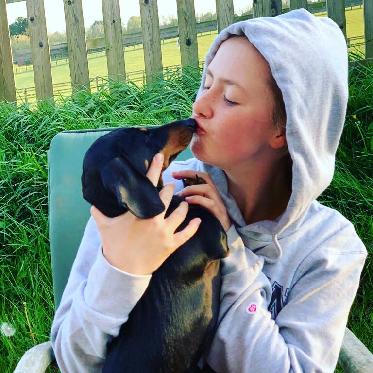 NorthFarmStud's tweet photo. 🐶 Dachshund Day 🐶
Now is he is kissing all the girls!!!  #topdog #dashday #nfs https://t.co/gIodWopfXD