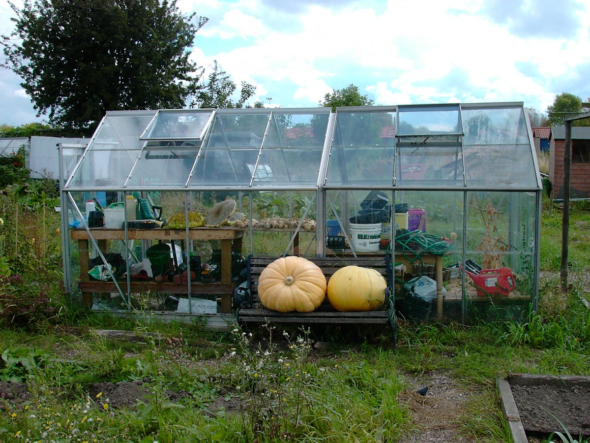 ChrysalisArts's tweet photo. For #NationalGardeningWeek here's a throwback to our 2004 project, Kersal Vale Allotments. The project focused on the relationship between #people & small #growingspaces, emphasising the benefits of sourcing food #locally and raising wider questions about #environmental impact. https://t.co/xYMspwUMP6