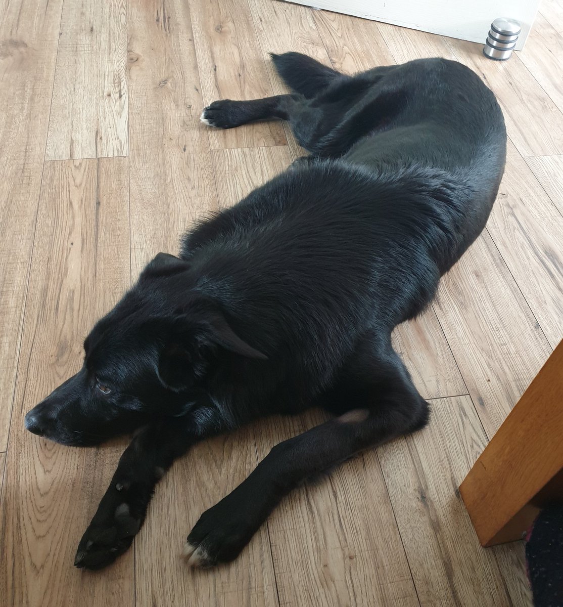 Alexandra Atkinson Hough tweet media