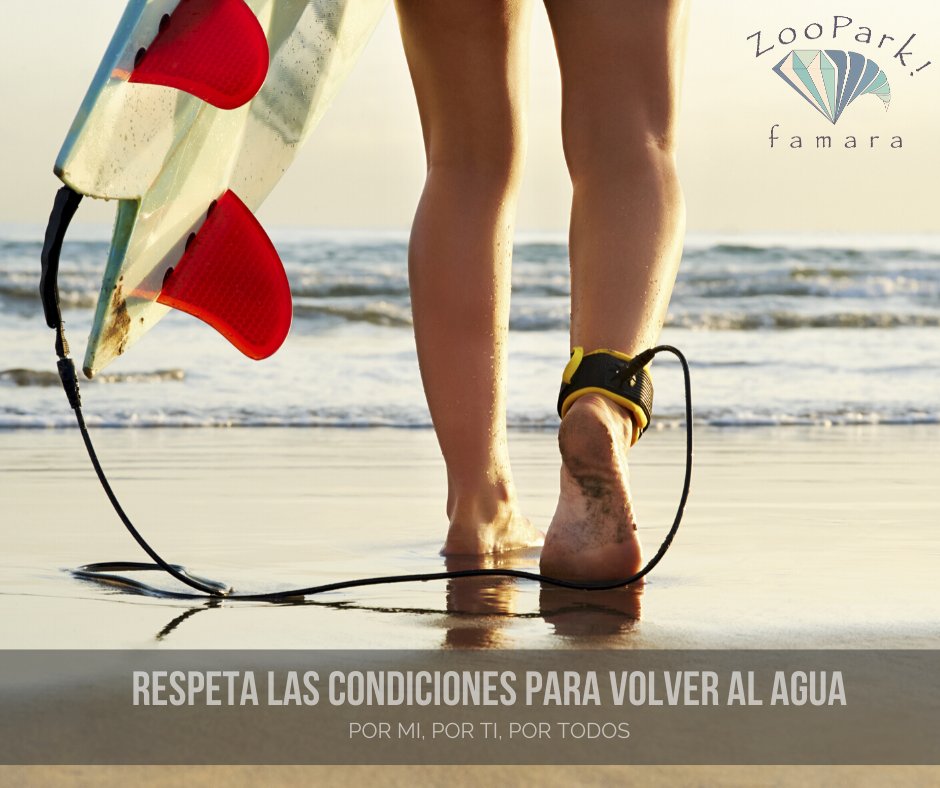 ZooParkFamara's tweet photo. Sé responsable. Respeta las condiciones para volver al agua. Por mi, por ti, por todos.
.
.
#seresonsable #volvemosalagua #surf #YaQuedaMenos https://t.co/XjxOlTypGu
