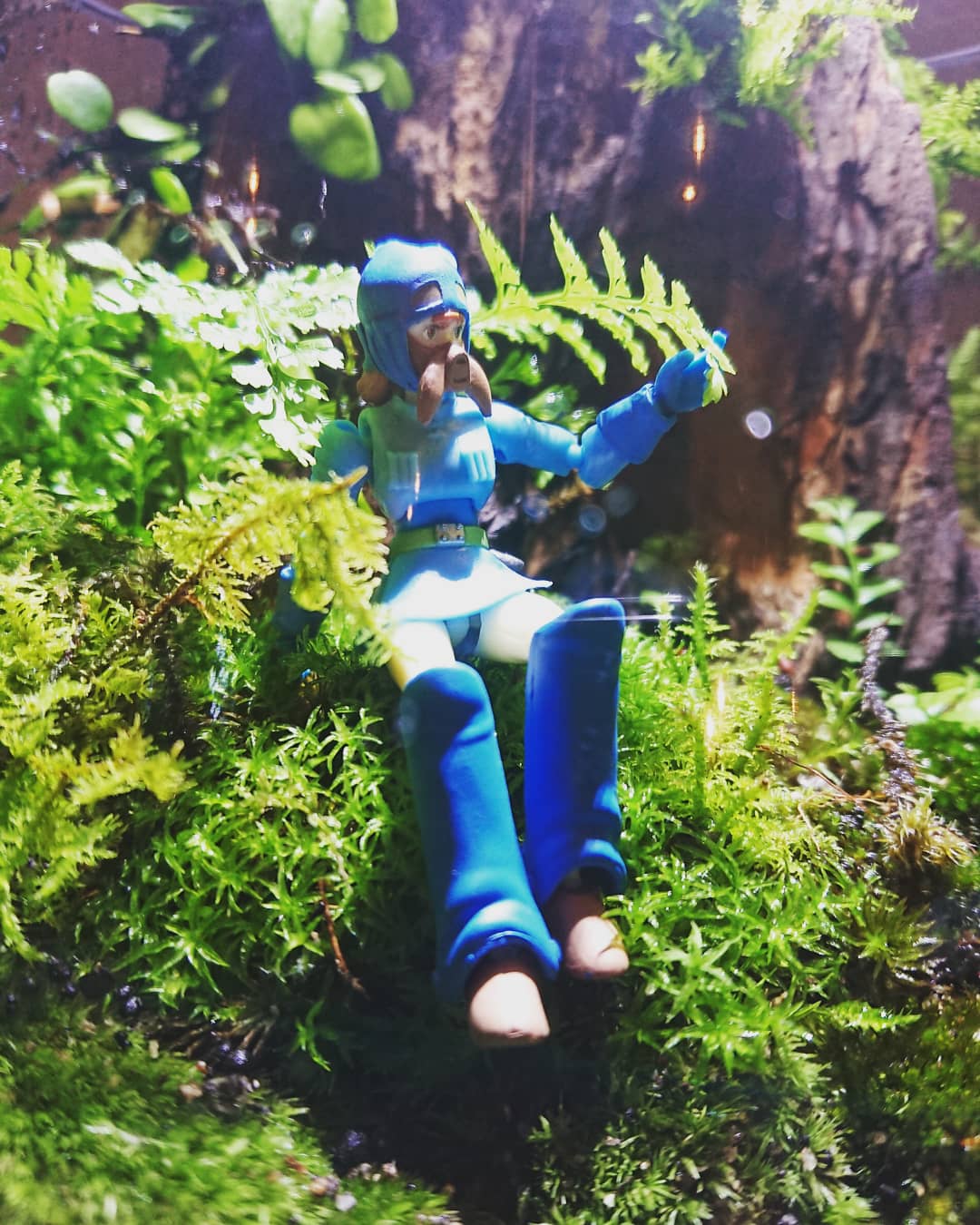 もうこやま ナウシカと自然 Kokerium Cosmos Moss Mossrium Koke Kokerium Terrafirma Terrarium Ghibli Nausicca プレミアバンダイ 想造ガレリア スタジオジブリ ジブリ ナウシカ メーヴェ フィギュア コケリウム コケ 苔 苔テラリウム もうこやま ナウシカと自然 Kokerium Cosmos Moss Mossrium Koke Kokerium Terrafirma Terrarium Ghibli Nausicca プレミアバンダイ 想造ガレリア スタジオジブリ ジブリ ナウシカ メーヴェ フィギュア コケリウム コケ 苔 苔テラリウム