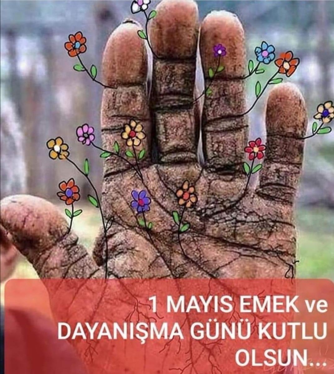 SadiAkta1's tweet photo. https://t.co/alO9F11aeX