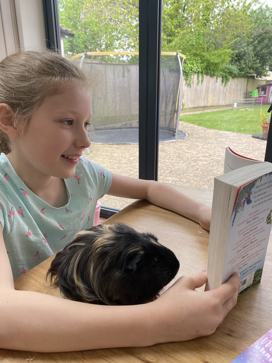 AnnerRitchie's tweet photo. Miss Crisp, Amelias been getting some help with her reading... @St_Josephs_Glos https://t.co/oYBiv4RV2P