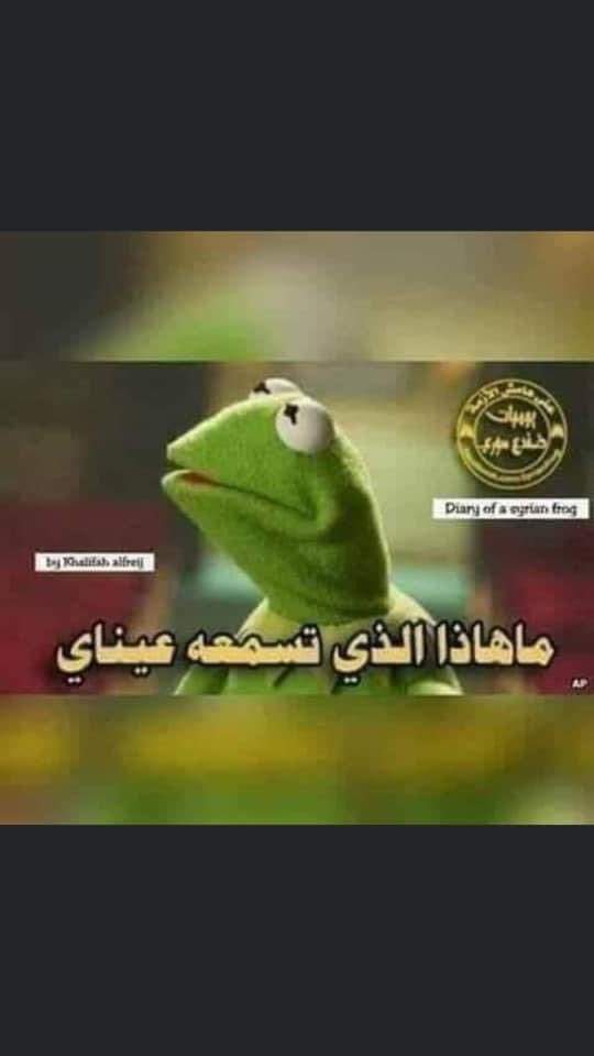 ss_zeezooo's tweet photo. @t3bo98 https://t.co/P7GKeglLZ1