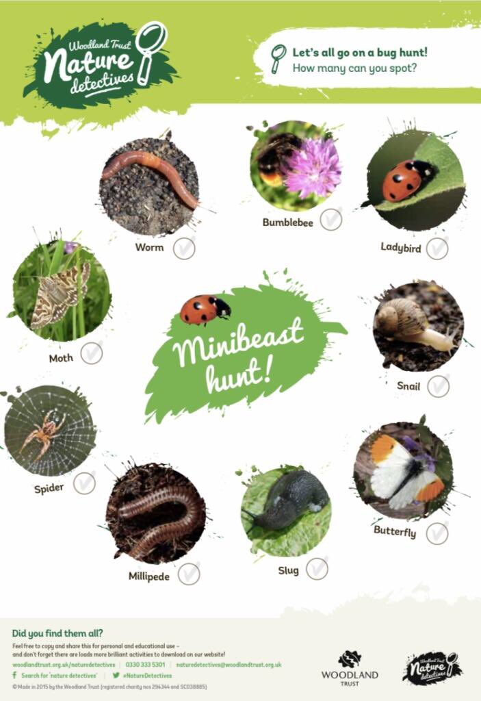 GorseyFS's tweet photo. Put on your wellies today and head out to the garden to splash in puddles and hunt for mini beasts. We would love to see what you find ππ π #gorseyfs #gorseyfromhome https://t.co/ySdP527Y9A