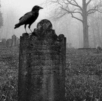 [ Solo: Loss Of Control. ]

#NP Dax - Love Hurts

Read: tl.gd/n_1sr7o0g