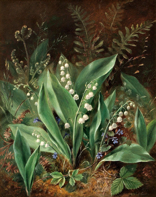 Albert Dürer Lucas 
Lilies of the Valley, 1871