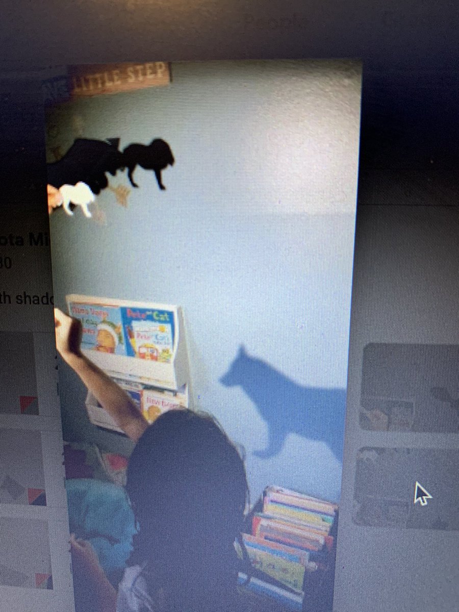 First graders are learning about light and shadows.  We made our very own shadow puppets and put on a show   #Boces4Science #WeAreBethpage <a href="/KLSBethpage/">Kramer Lane Elementary</a> <a href="/BethpageUFSD/">BethpageUFSD</a>