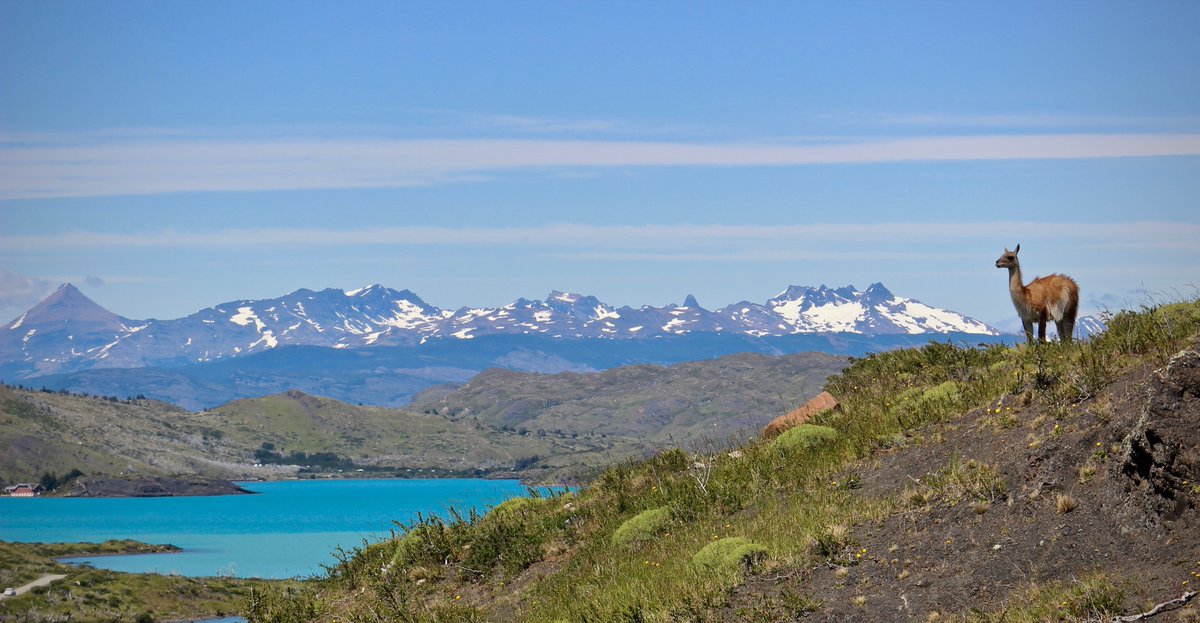 Grazie <a href="/lorenzojova/">Lorenzo Jovanotti</a> per il bellissimo messaggio di #poesia e #libertà di #nonvogliocambiarepianeta! Non ti abbiamo incrociato per poco: youtu.be/rcaPk2fLmAU
#Cile #Argentina special thanks <a href="/niccolofabi/">Niccolò Fabi</a> #DiventiInventi