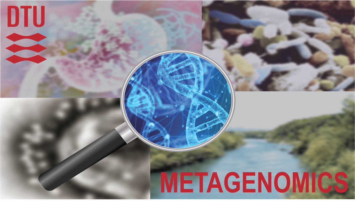 Gisle Vestergaard tweet media