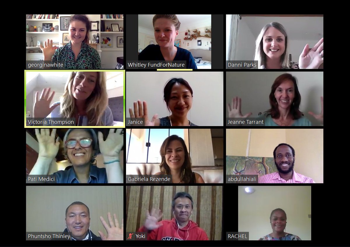 WhitleyAwards's tweet photo. On Sunday the #WFN team & 2020 #WhitleyAward winners 'met' all together for the first time!
We are so delighted to welcome these new members of our #WinnerNetwork & hope they can join us in the UK later this year...🤞
#WhitleyAwards2020 #GreenOscars #ConservationHeroes https://t.co/APwitUwDEv