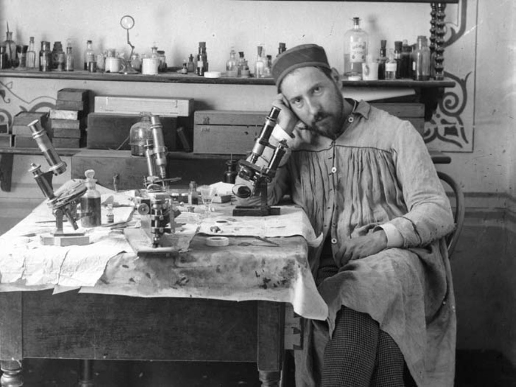 CSIC's tweet image. Tal día como hoy de 1852 nacía el neurocientífico Santiago Ramón y Cajal, que demostró que cada célula nerviosa es independiente y que las sinapsis nerviosas trasmiten impulsos nerviosos de una célula a otra. Recibió el premio Nobel de Medicina en 1906 junto a Camillo Golgi.