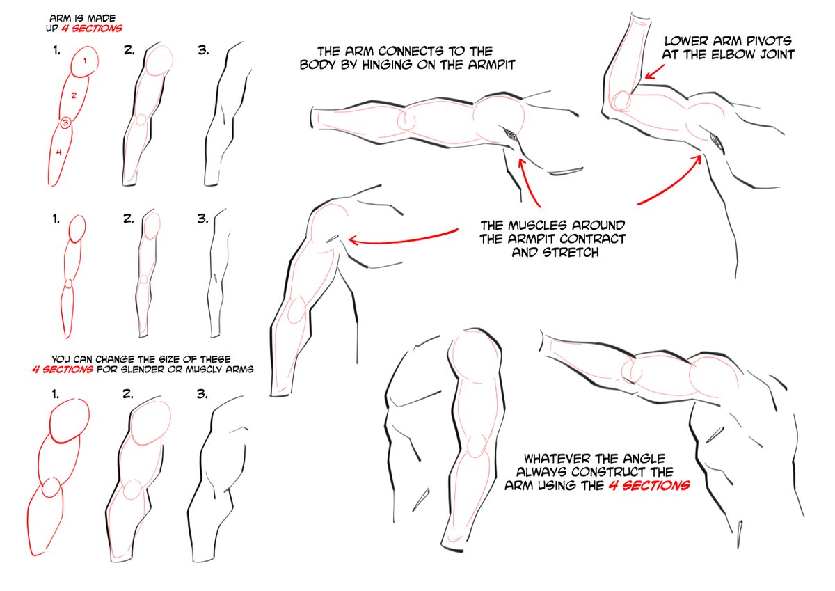 HOW TO DRAW ARMS! Tim requested a tutorial for his kids on how to draw arms and how they connect to the body so I put this together for them and am sharing with the rest of the <a href="/phoenixcomicuk/">The Phoenix comic</a> readers and my followers. Any more requests? What would you like to know how to draw?
