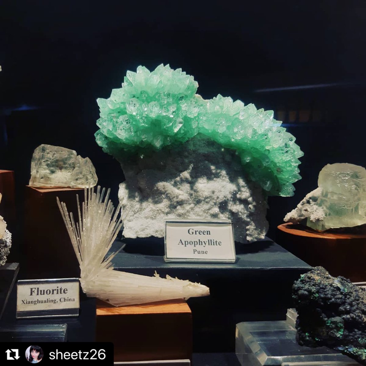 Gargoti's tweet photo. #Repost @sheetz26
#gargotimuseum #superbminerals #museum #geology #mineralogy #incredibleindia #museuminindia #indianmuseum #museumofindia #nashik #nasik #pune #mumbai #nashiktourism #maharashtra #maharashtratourism https://t.co/STRJ9TLV5w