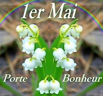 pascal_lilian's tweet image. STARTGO VOUS OFFRE CE BRIN DE MUGUET
EN GUISE DE PORTE BONHEUR #startgo #portebonheur #immobilier #réseau #1erMAI #recrutement #négociateur #mandataire #agenceimmobilière