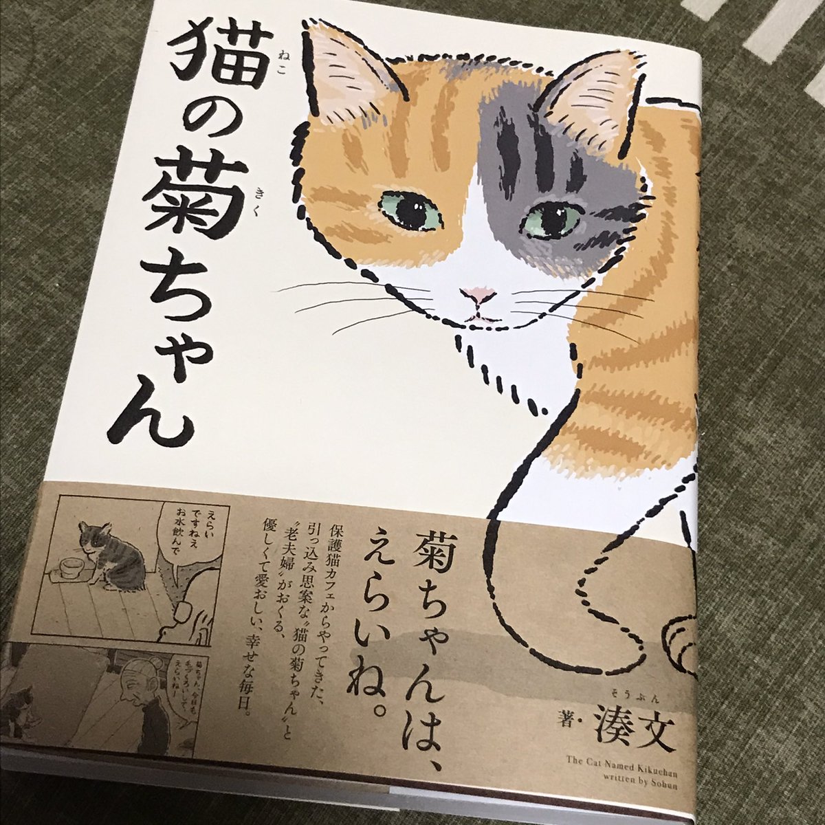 湊文さん「猫の菊ちゃん」読了。
単行本化をずっと待ってました!
菊ちゃんがかわいくてかわいくてかわいくてしょうがなくて、菊ちゃんがかわいいです。あと菊ちゃんがかわいい。 