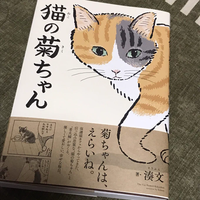 湊文さん「猫の菊ちゃん」読了。単行本化をずっと待ってました!菊ちゃんがかわいくてかわいくてかわいくてしょうがなくて、菊ちゃんがかわいいです。あと菊ちゃんがかわいい。 