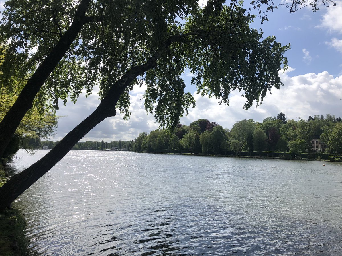LMeredithEU's tweet photo. #BikeforFreedom to #FightCOVID19 on #LabourDay #1erMai #Fietsland https://t.co/CLkSvqDyNr