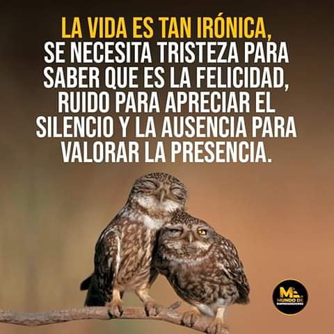 توییتر \ MARCOS MONTILLA در توییتر: «REFLEXIONES PARA LA VIDA La vida es tan irónica, se necesita tristeza para saber que es la felicidad, ruido para apreciar el silencio y la ausencia توییتر \ MARCOS MONTILLA در توییتر: «REFLEXIONES PARA LA VIDA La vida es tan irónica, se necesita tristeza para saber que es la felicidad, ruido para apreciar el silencio y la ausencia