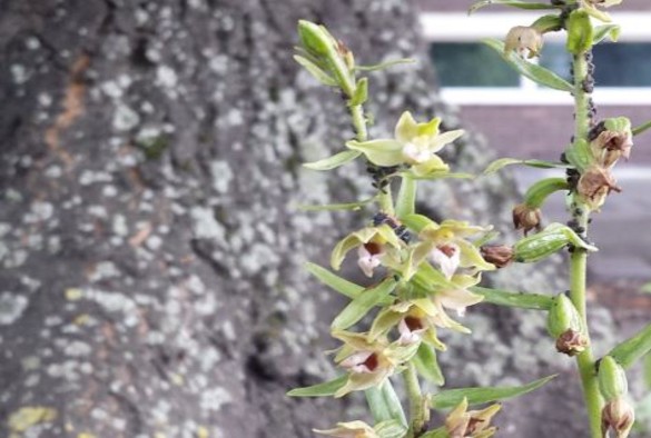 Faculty of Health and Life Sciences tweet media