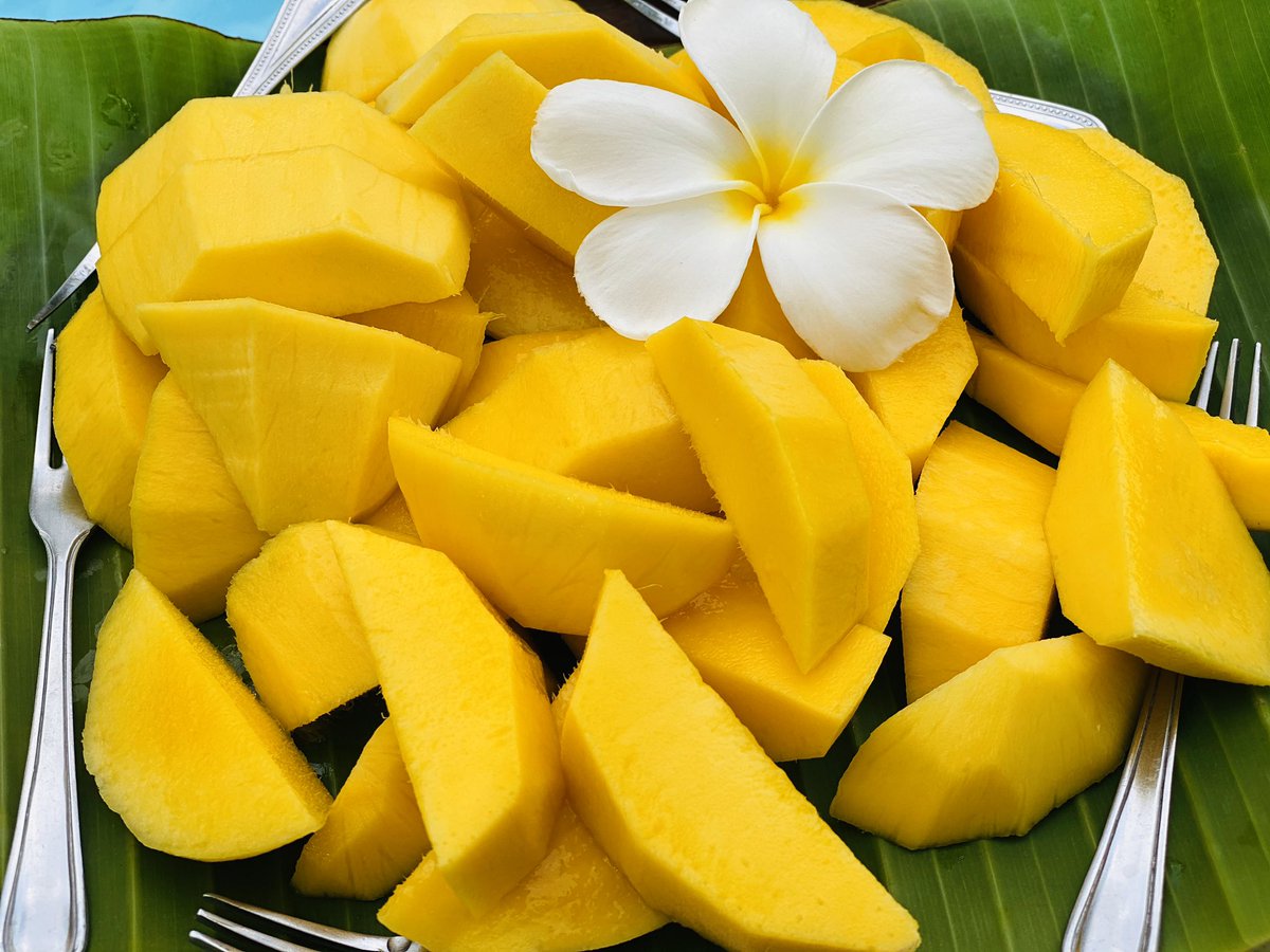 nanseasons's tweet photo. Just a mango. Enjoy! #mango #nanseasons #nanthailand #น่าน #น่านซีซั่นส์ #มะม่วง https://t.co/pn56ghqsGi