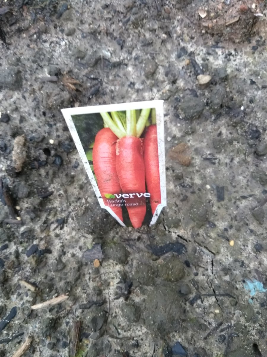 Andywales55uk's tweet photo. @AndyNewport55uk as you can see the seeds they planted are growing slowly &amp; some will be ready to pick🌿🌱🌼😀🏴󠁧󠁢󠁷󠁬󠁳󠁿🥀 https://t.co/IB4GeIhkFb