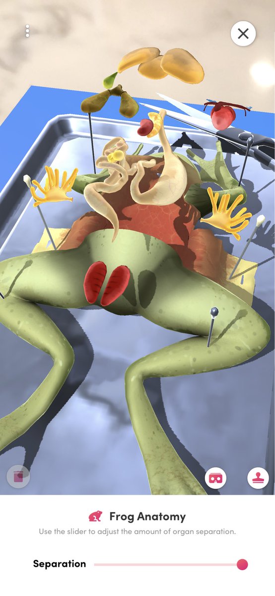 MsZielewicz's tweet photo. Currently nerding out over this printable Merge Cube VR! π€π©βπ¬πΈππ¦ Excited to use this digitally over Google Meet with @BTEvertech Living Environment students next week! #digitalfrogdissection #ecology #distancelearning #allthetechnology @BroomeBOCES https://t.co/TJo3rUUtmE
