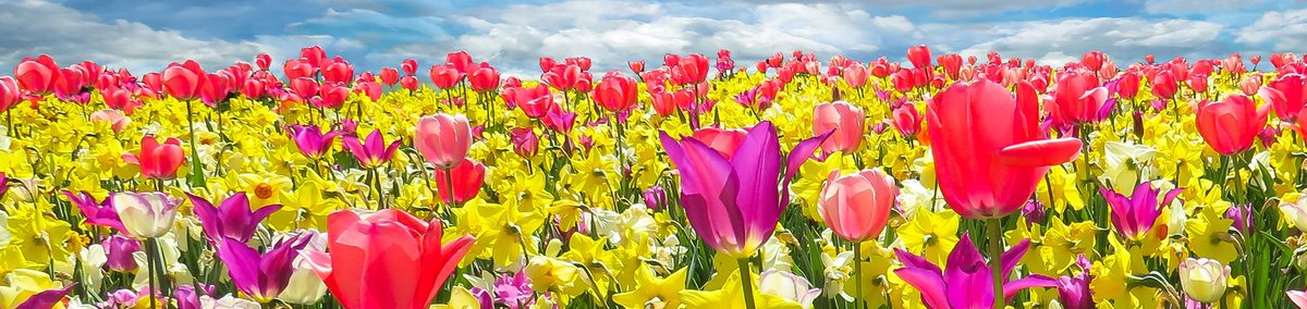 mammothcleaning's tweet photo. check out our Spring Clean blog for tips here
https://t.co/NoUWC9x9wf #MayDay #cleaning #cleaningproducts #CleaningServices #Hygiene #catering #carpetcleaning #officecleaning #covid19UK #workingfromhome #workplacehappy #SpringCleaning #1stMay https://t.co/V9tPL5uDqp