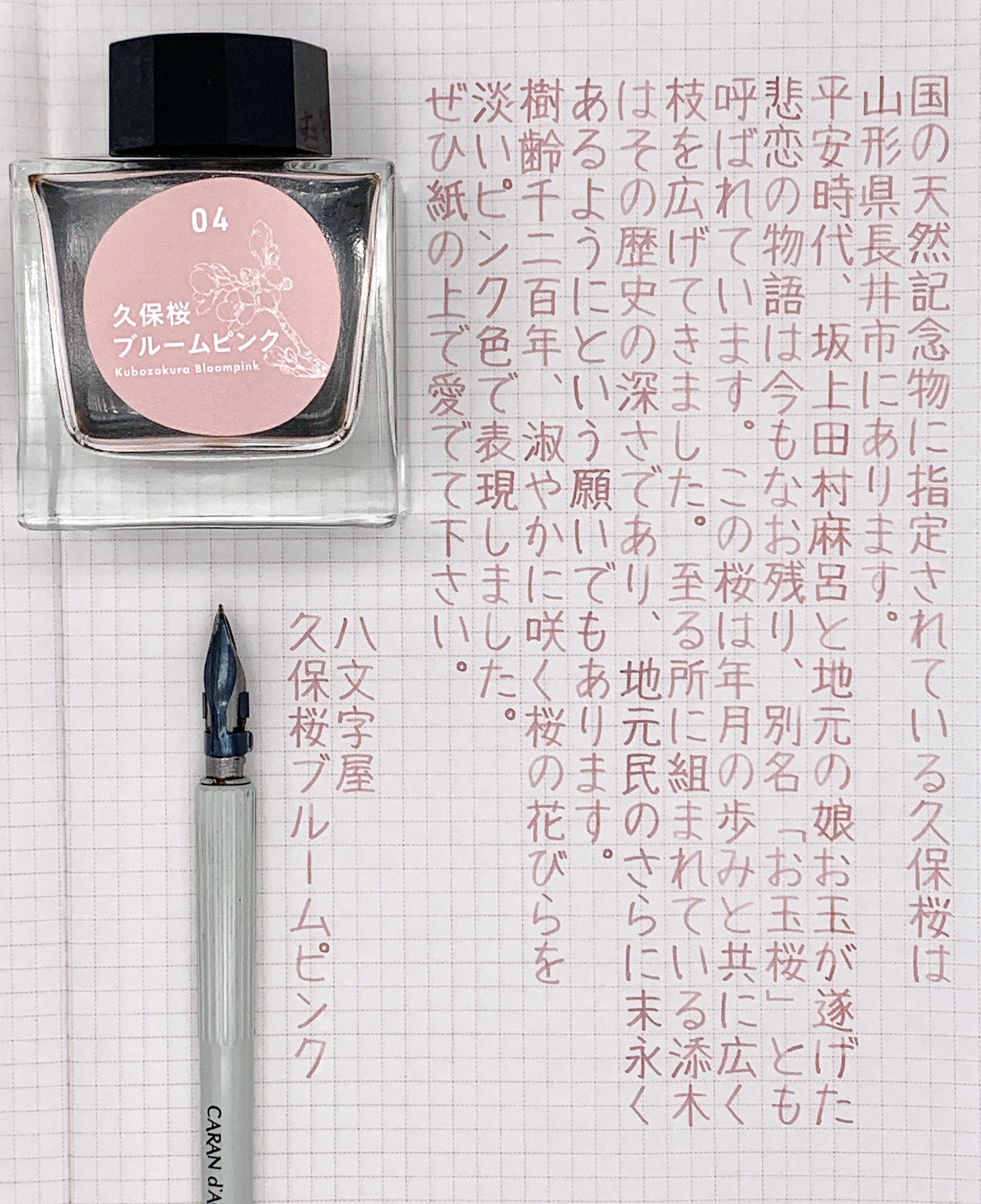 久保桜ブルームピンク・万年筆(極細字EF)-