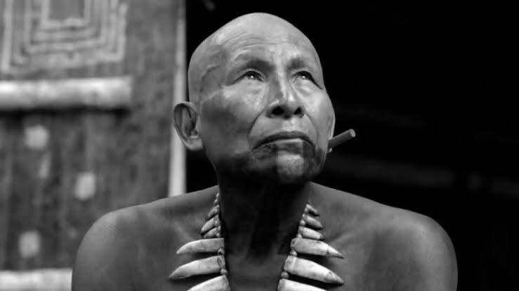 Lamentamos profundamente el fallecimiento de Antonio Bolivar, protagonista de El abrazo de la serpiente. Va fuerte abrazo a su familia, amistades y equipo de trabajo de la película.
✨