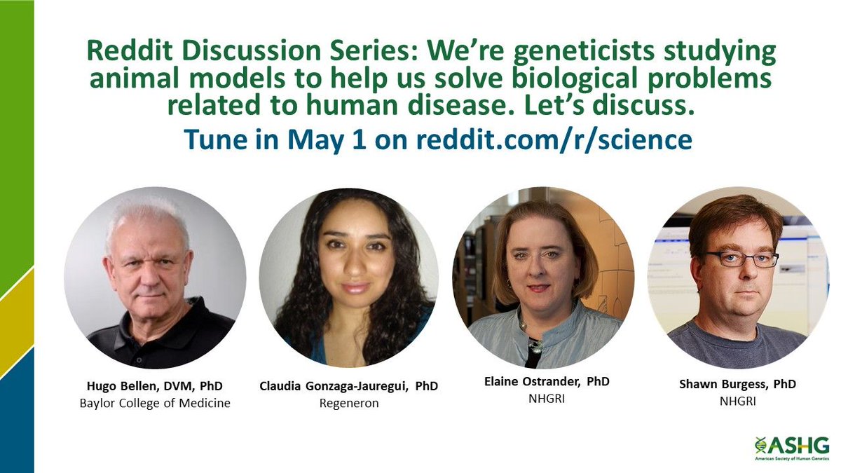 GeneticsSociety's tweet image. Are you curious about how animals can help us to understand human biology? Our Reddit Discussion Series is live! Ask our experts your questions about genetic research and human disease modelling. They'll be answering all day today, so tune in now! bit.ly/2Wit494
