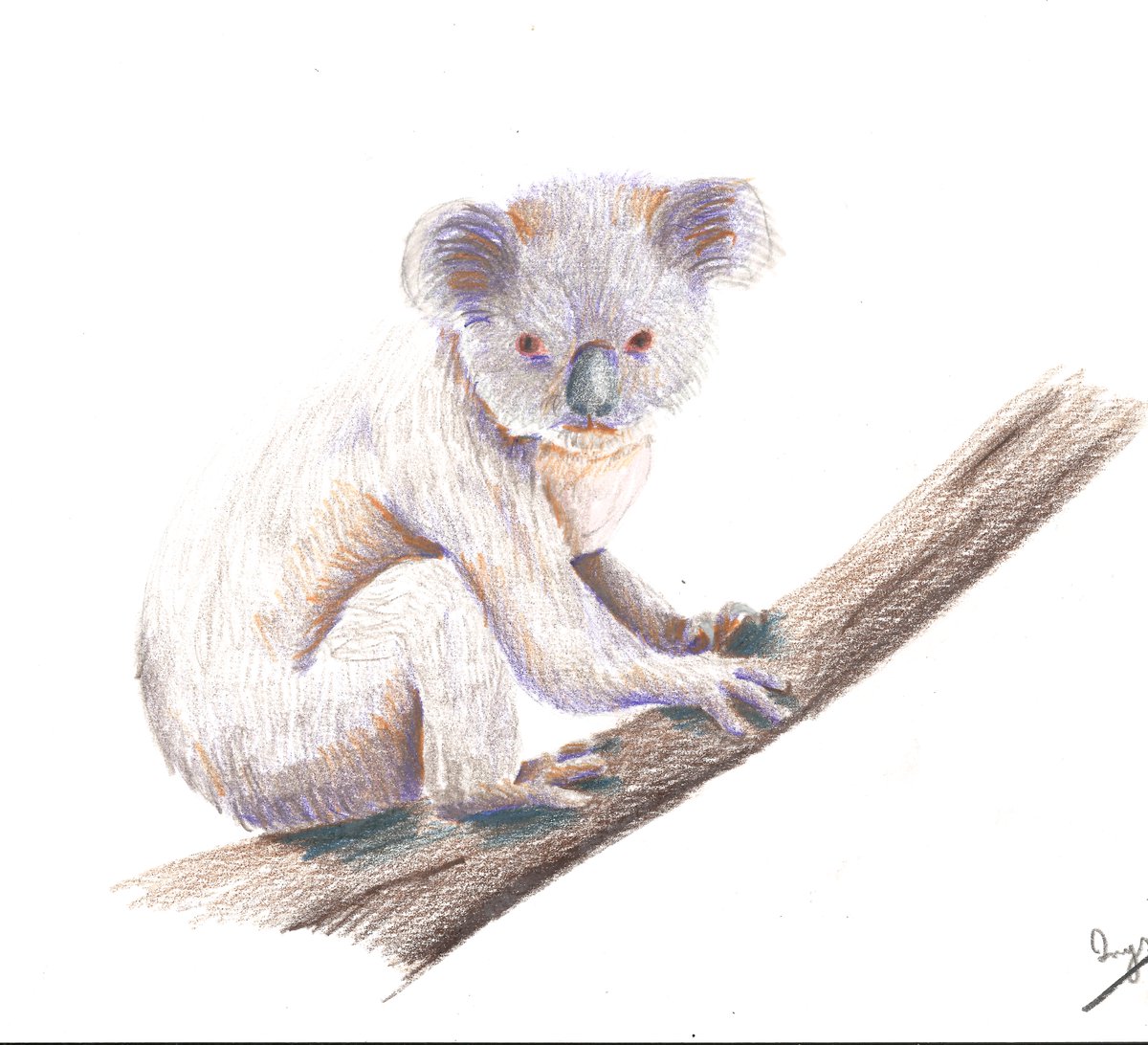 Crayon format A4 :