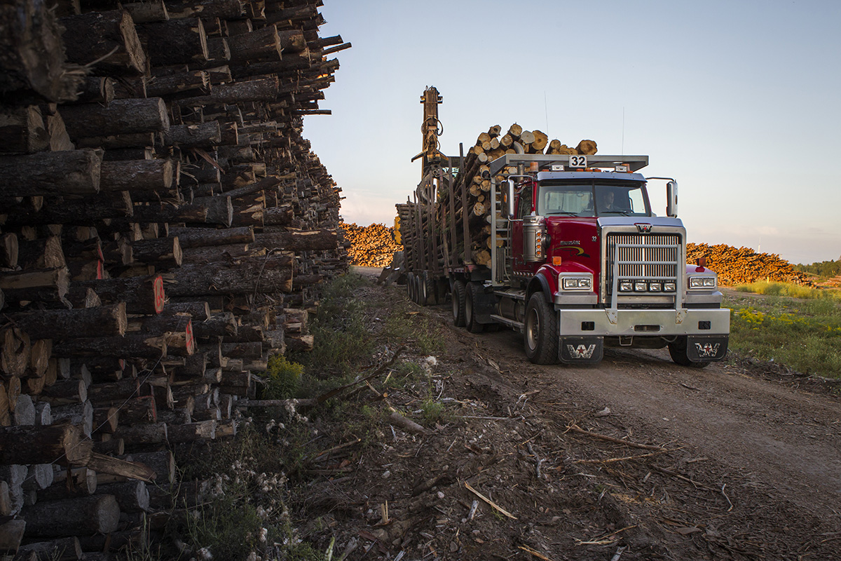 WstrnStarTrucks's tweet photo. With our #4900SF low roof heavy haul tractor, the cabs have extra gussets and reinforcements, are bonded instead of riveted, and precision welded for strength. In other words, this severe-duty cab is built with durability and safety in mind #protection #safety #strong #reinforced https://t.co/6cnbAsAceH