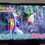 動物を殺さないで済む方法・・・。均等を保つには難しい・・・。農家さんの悩み