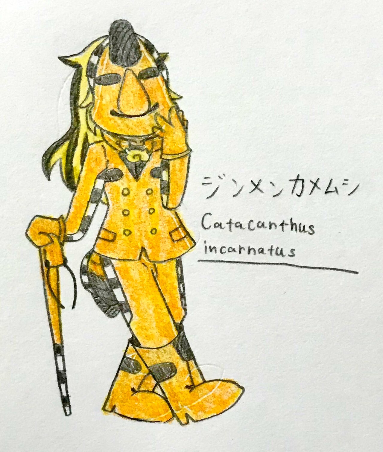 水月 オリフレ ジンメンカメムシ 羽の模様がまるで人の顔のように 見える事からこの名がついた カメムシの一種 学名は悪魔の顔という意味 蠱毒連合のメンバーで 得意の手品を交えた 戦闘スタイルで相手を翻弄する いくら敵といえども楽しま