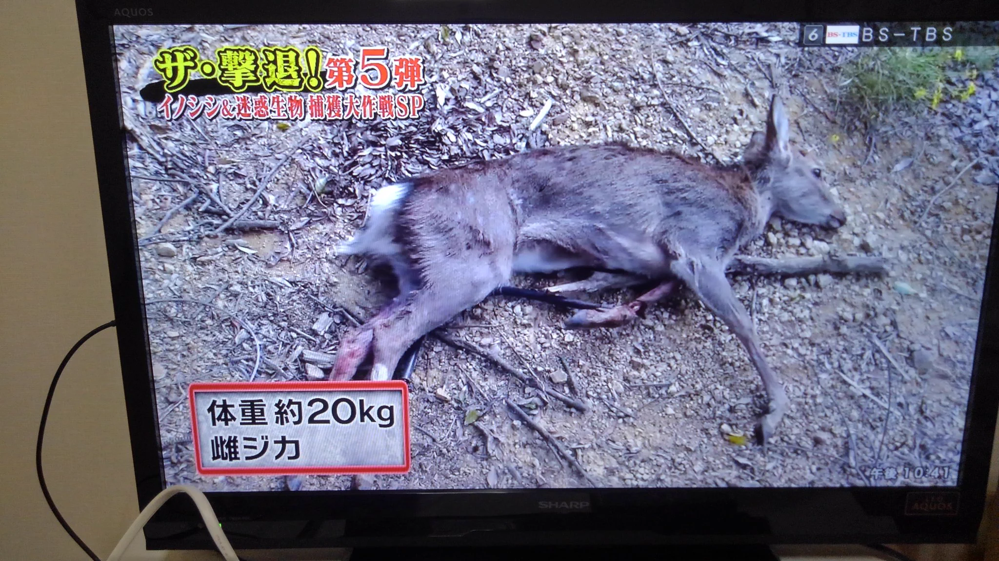 動物を殺さないで済む方法・・・。均等を保つには難しい・・・。農家さんの悩み