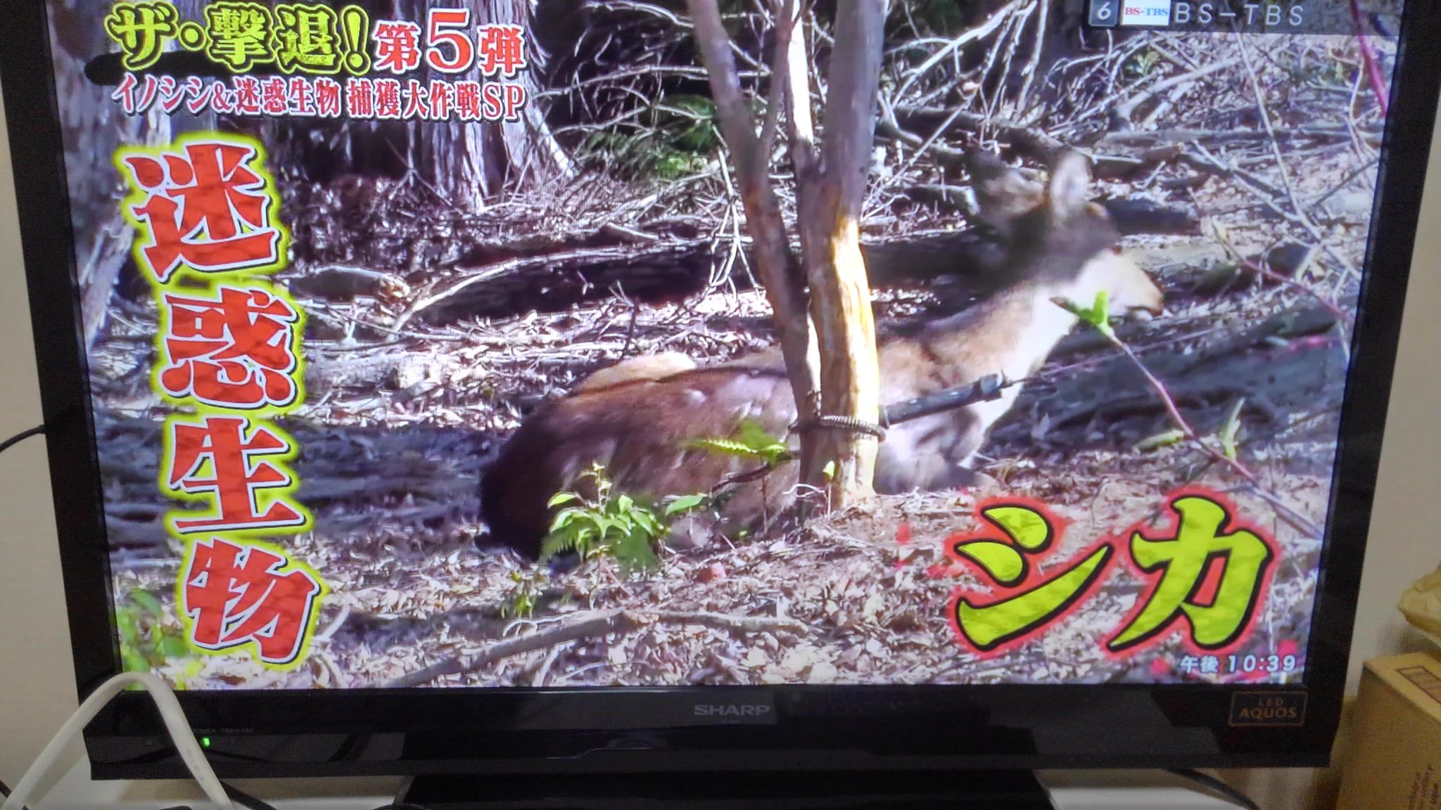 動物を殺さないで済む方法・・・。均等を保つには難しい・・・。農家さんの悩み