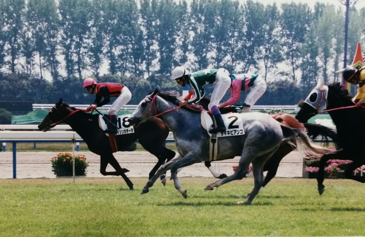 bubblegumrobroy's tweet photo. プレイバック　平成競馬
エイシンカチータ
父 バンブーアトラス
97年シーズンは１勝馬ながら
オークス ６着
秋華賞 ３着
エリザベス女王杯 ５着
に善戦した🐎💨
翌年２勝を上げ通算３勝で引退繁殖入りしてます。
写真は初勝利時📷
＃京都競馬 https://t.co/AxRqLnAbSo